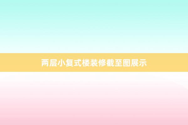 两层小复式楼装修截至图展示