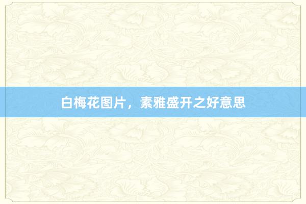 白梅花图片，素雅盛开之好意思