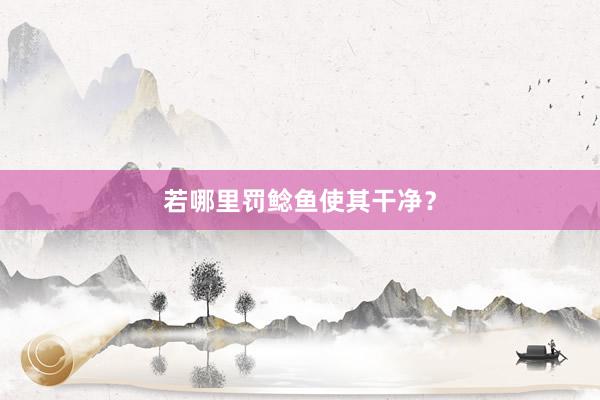 若哪里罚鲶鱼使其干净？