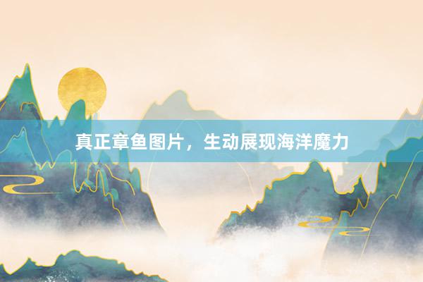 真正章鱼图片，生动展现海洋魔力