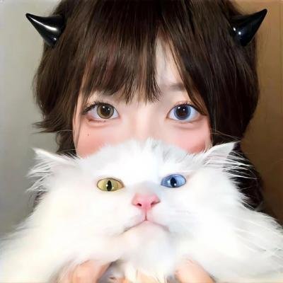 精灵宝可梦：时拉比穿越时空的相遇粤语